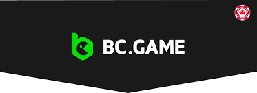 Ultimate Guide to Promo Codes and Bonuses in Betting Companies